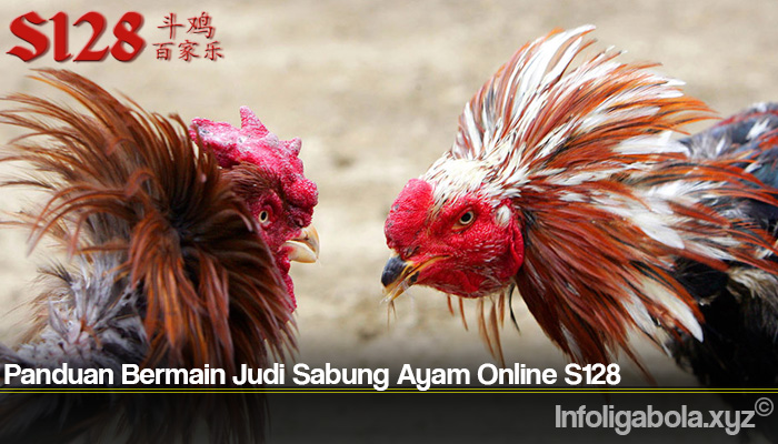 Panduan Bermain Judi Sabung Ayam Online S128